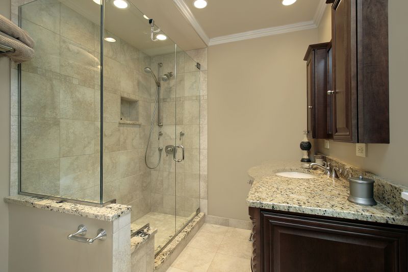 Contemporary Shower with Niche